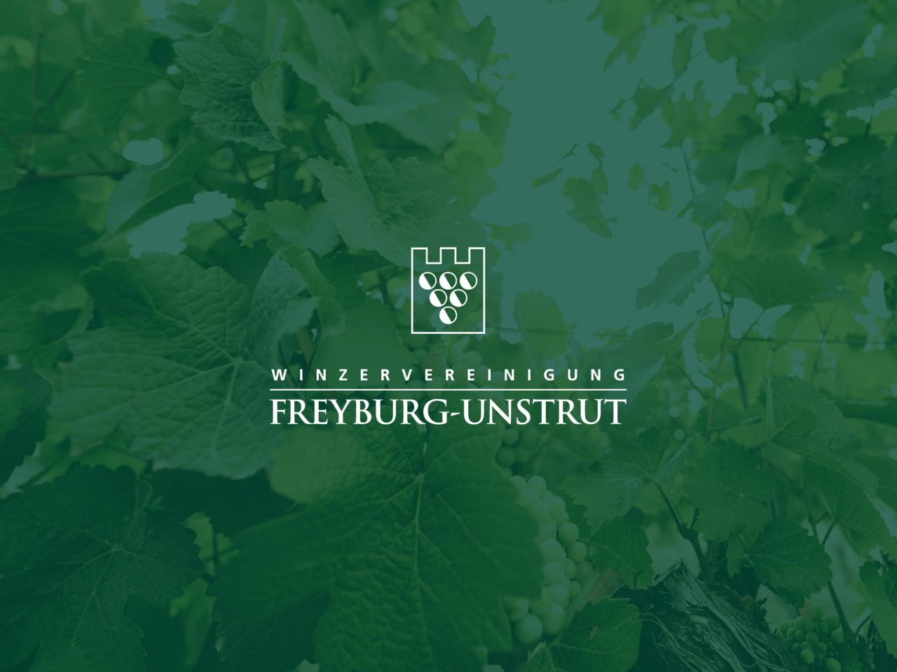 Winzervereinigung Freyburg-Unstrut eG