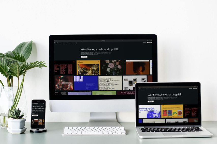 WordPress: Wie Ihr Business die digitale Bühne erobert