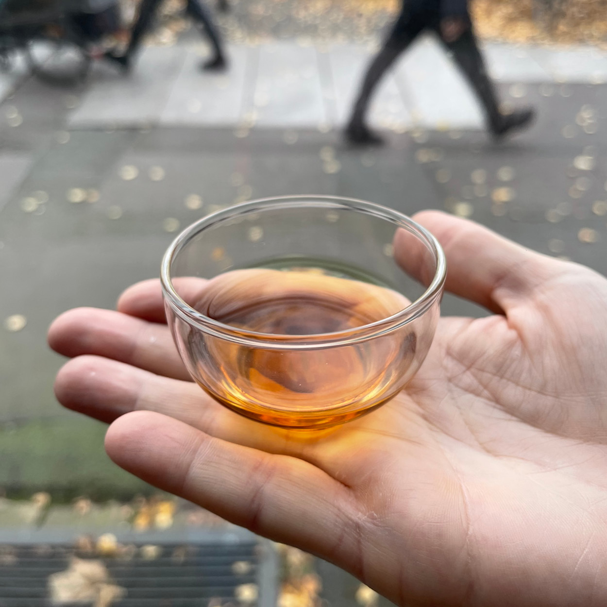 Hand hält eine Tasse Tee im Außenbereich des Teehauses der iūgen GmbH in Halle (Saale)
